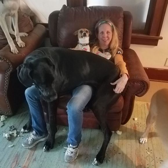 Meet your Posher, Jessica - Picture 1 of 1